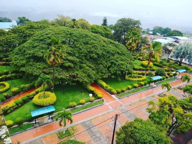 iquira colombian huila coffee farms